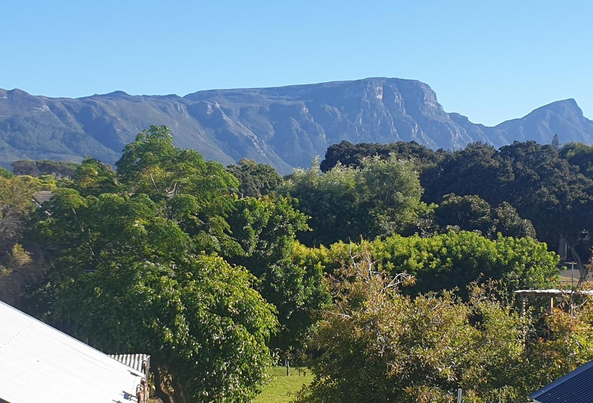 Clement One, A Villa For Family & Friends Cape Town Bagian luar foto